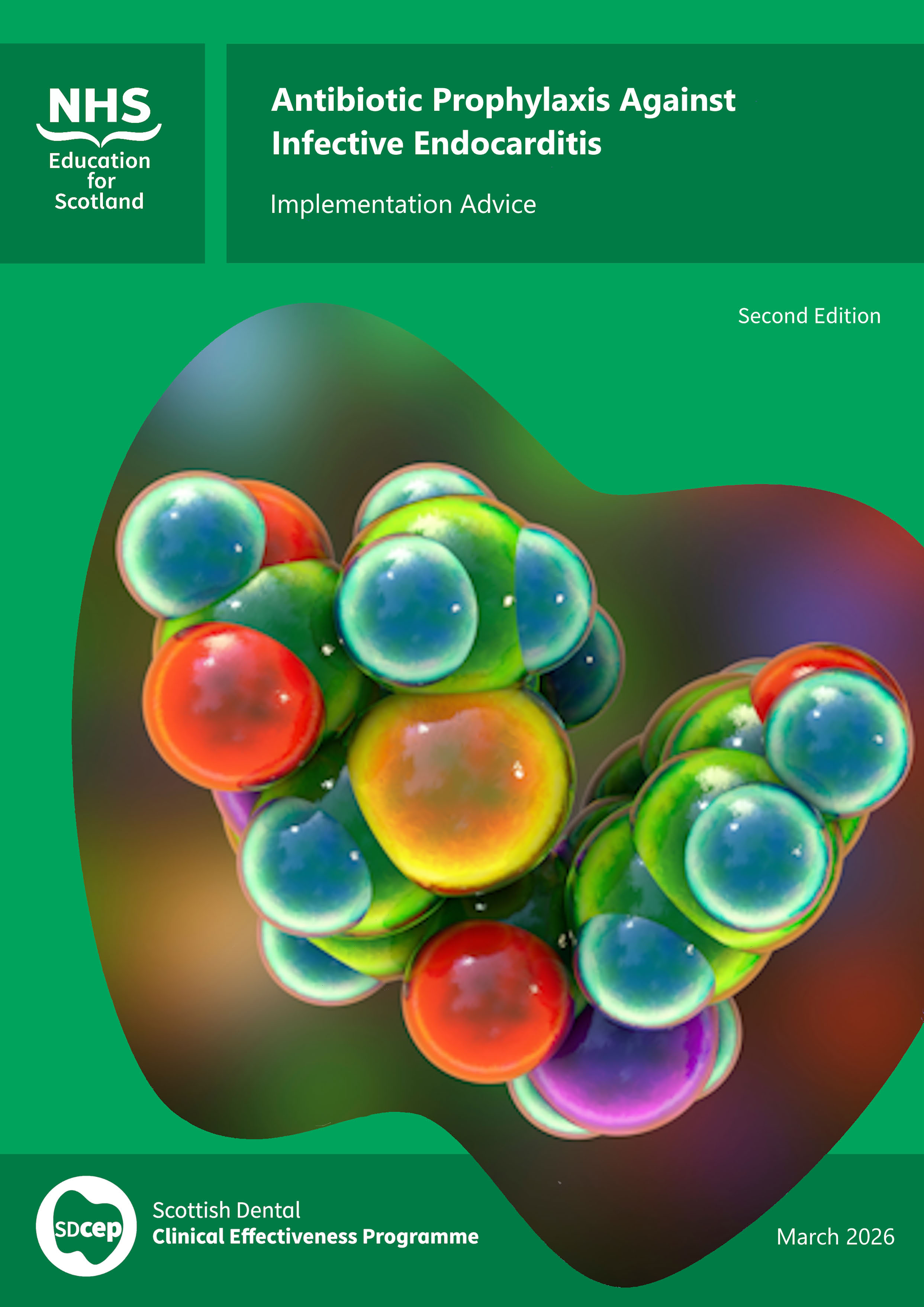 Front cover of the implementation advice